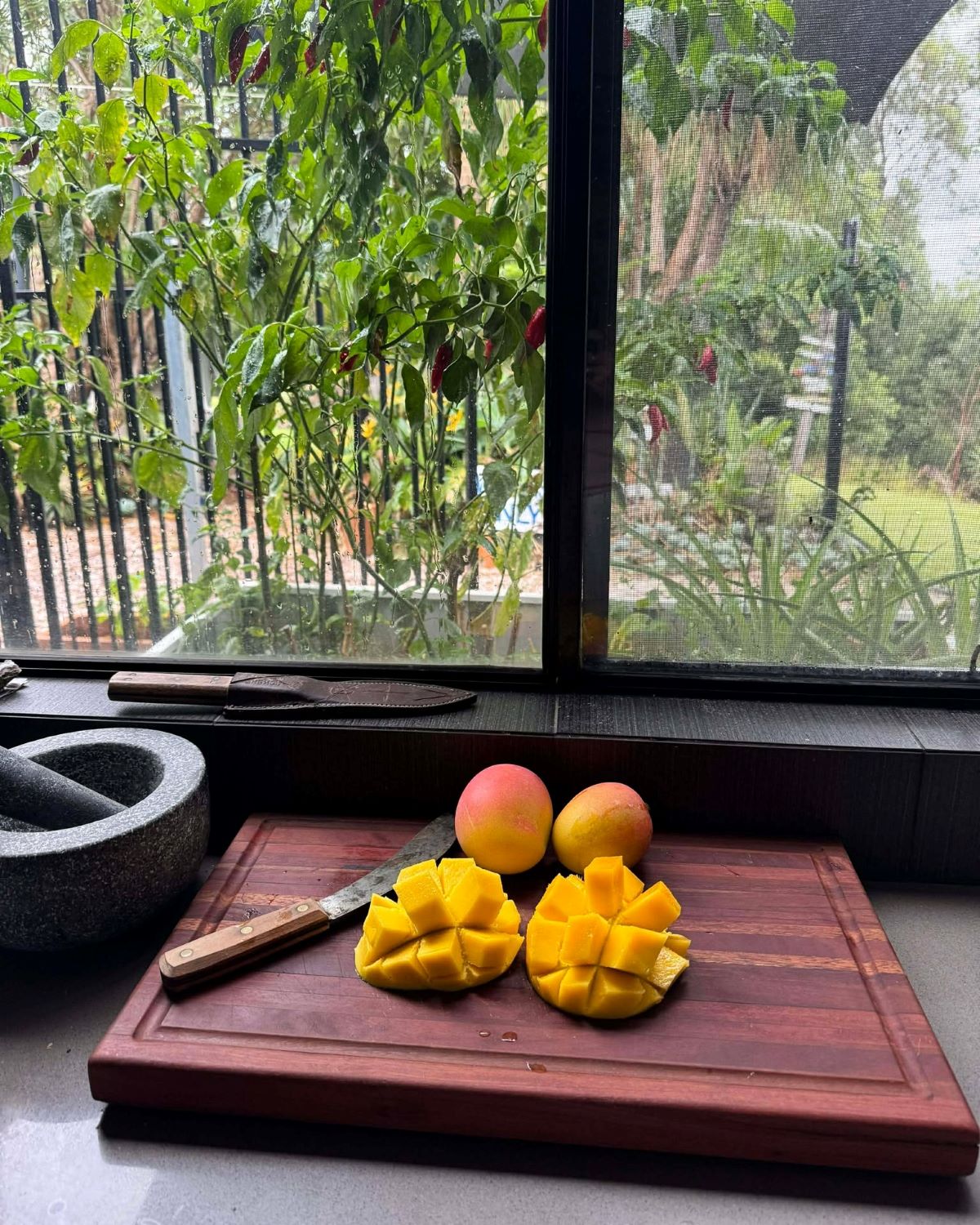 Customer preparing mango on hardwood chopping board